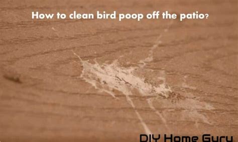 How To Clean A Patio Umbrella Scum Dirt And Bird Poop No More Diy