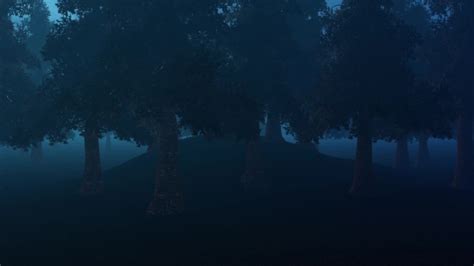 Pine Forest At Night In Fog By Lumionfootage Videohive