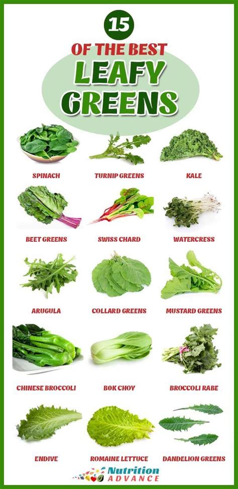 15 Of The Most Nutritious Leafy Green Vegetables Green Leafy
