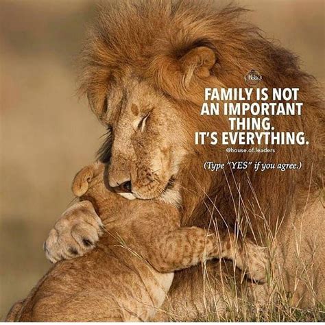 Instagram Lion Quotes Lioness Quotes My Children Quotes