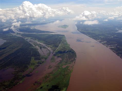Amazon River Facts History Location Length Animals