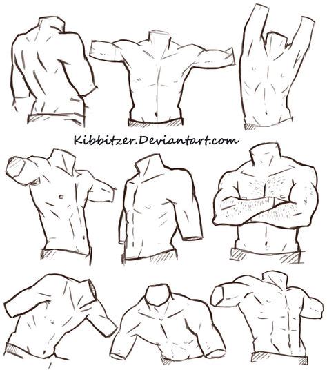 Male Torso Reference Sheet By Kibbitzer Deviantart On Deviantart