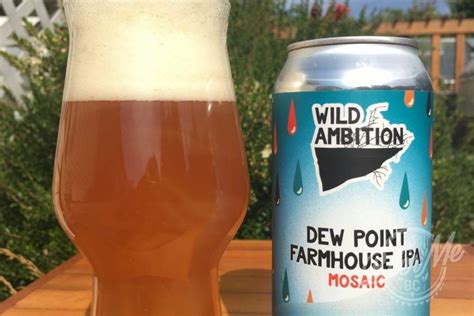 Wild Ambition Brewing Dew Point Farmhouse Ipa Mosaic Beer Me