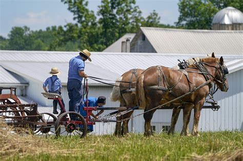 Amish Brothers Avoid Jail Time For Sex With 12 Year Old Sister