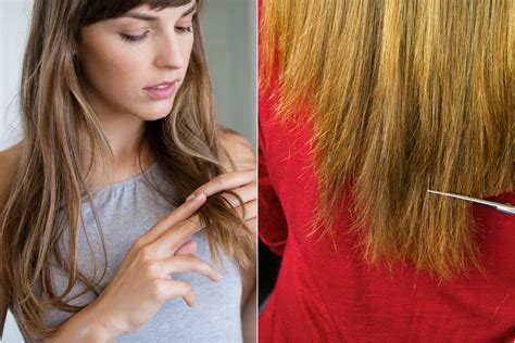Hair Breakage 10 Common Causes And How To Fix Them Allure