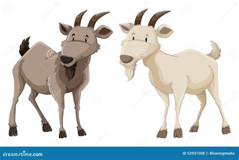 Goats Cartoon Vector 16671337
