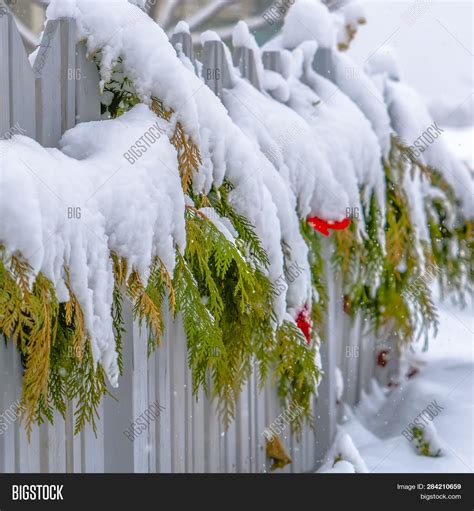 Snow Covered Garland Image And Photo Free Trial Bigstock