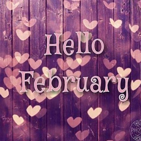 10 New Hello February Quotes Sayings And Images