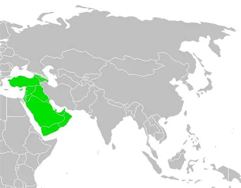 Southwest Asia Map •