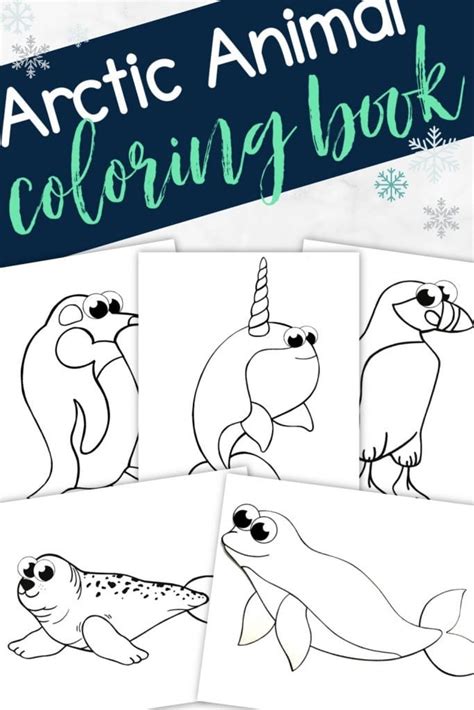 Arctic Animals Coloring Pages For Preschoolers