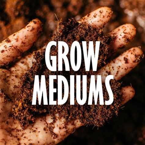 Grow Mediums Nutrient Organic Fertilizer Growing