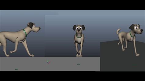 Dog 3d Animated Walk Cycle Looped Youtube
