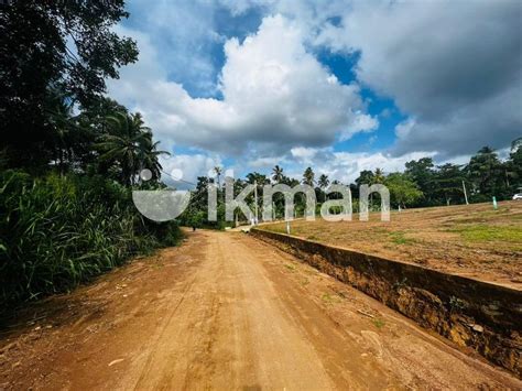 Land For Sale In Kurunegala Ikman