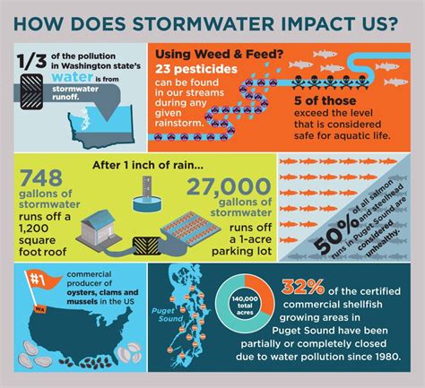how does stormwater impact us keeping king county green