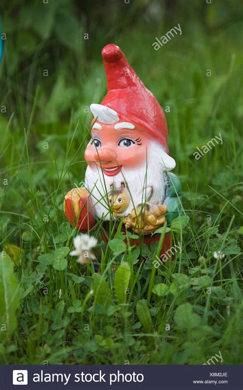 Gnome In Garden High Resolution Stock Photography And Images Alamy