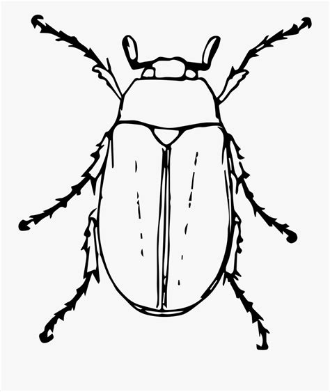 Black And White Bugs Clipart 10 Free Cliparts Download Images On