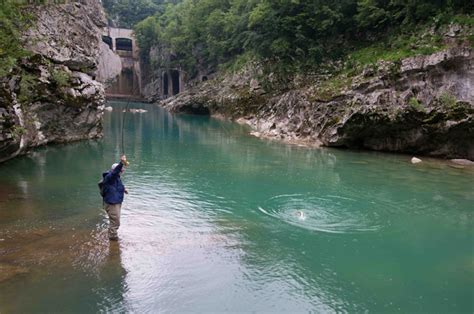 Right off the bat and hit it out of the park. coming to you from beautiful, locked down los angeles, california! Slovenia Day Four: Into the Soča Canyon - Orvis News