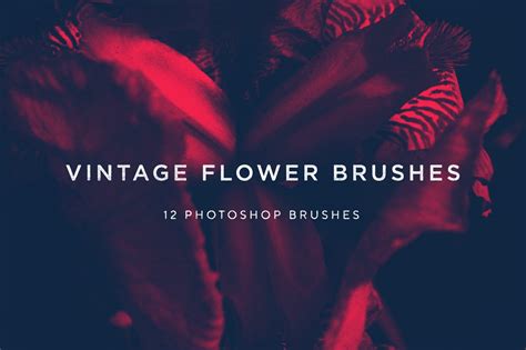Vintage Flower Brushes Brushes ~ Creative Market
