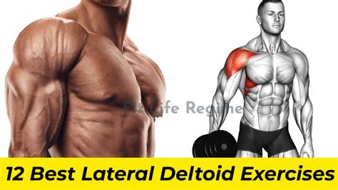 12 Best Lateral Deltoid Side Deltoid Exercises To Build Wide Shoulder