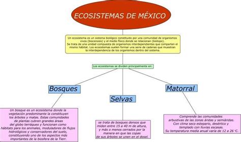 Cuadro Sinoptico De Los Ecosistemas De Mexico Brainlylat