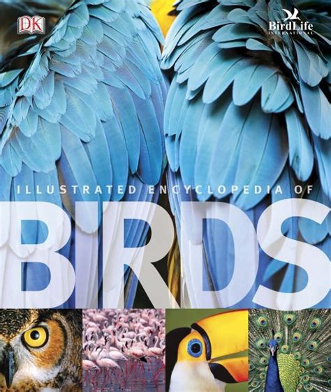 The Illustrated Encyclopedia Of Birds Dk Uk
