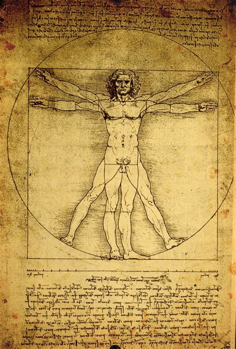 15 Things You Might Not Know About Leonardo Da Vincis Vitruvian Man