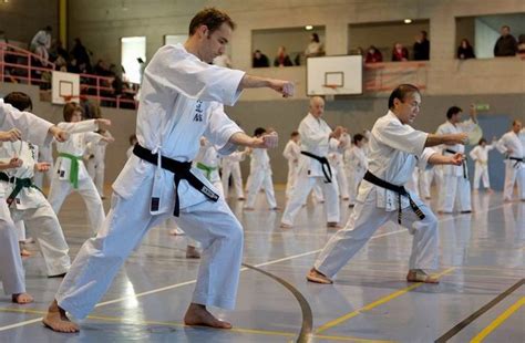 Master Oscar Higa Karate Do Karate Do Seminar Sion Switzerland ~ 28 30 January 2011