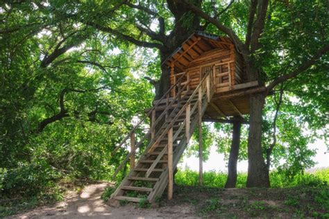 33 Of The Best Tree House Ideas Ever For Grown Kids