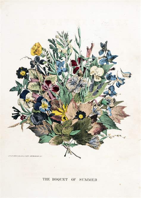 Vintage Botanical Prints 31 In A Series “a Bouquet Of Flowers” From