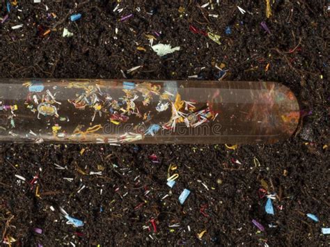 Microplastics In Soil A Test Tube With Soil Sample Stock Photo Image