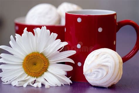 Red Polka Dot Cup Of Tea Stock Photo Image Of Elegance 28912118