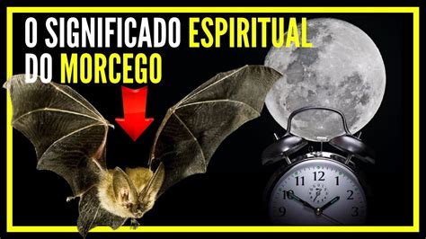 O Press Gio Do Morcego Significado Espiritual Do Morcego Youtube