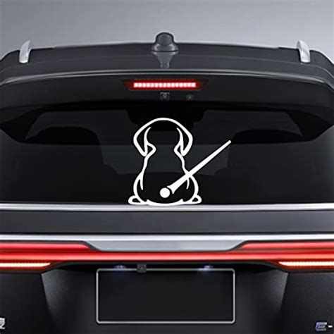 You Wont Believe What This Dog Decal Does To Transform Your Car Window