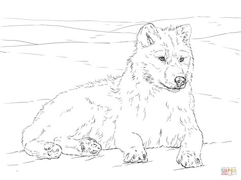 Coloriage Loup Arctique Coloriages à Imprimer Gratuits