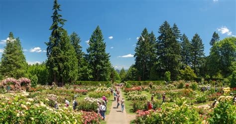 The City Of Roses Is Exploding With Beauty At This Portland Park