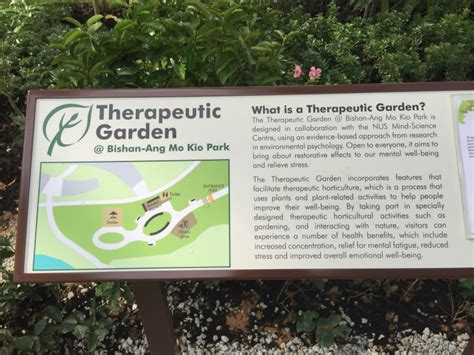 Towards Horticultural Therapy Opening Of Bishan Amk Therapeutic Garden