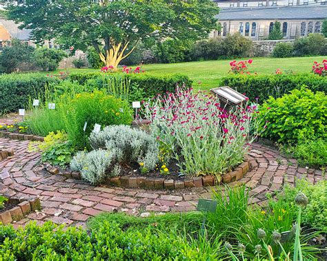 18th Century Period Garden In Full Bloom At The Varnum House Museum