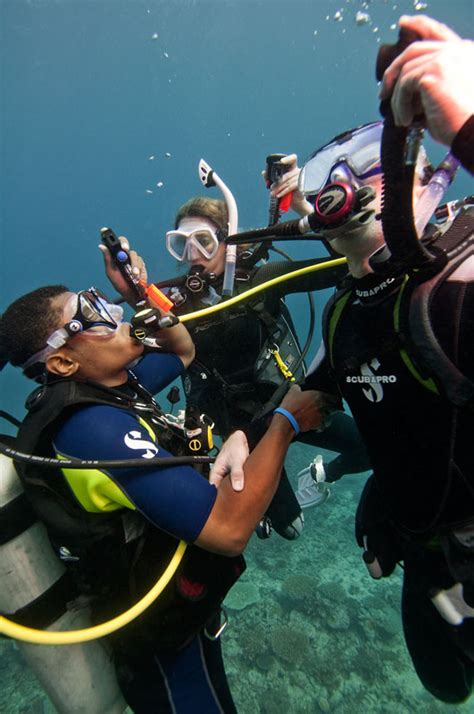 Rescue Diver Aquaventure Dive And Photo Center