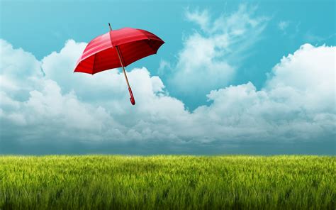 Umbrella Fields Hd Nature 4k Wallpapers Images Backgrounds Photos