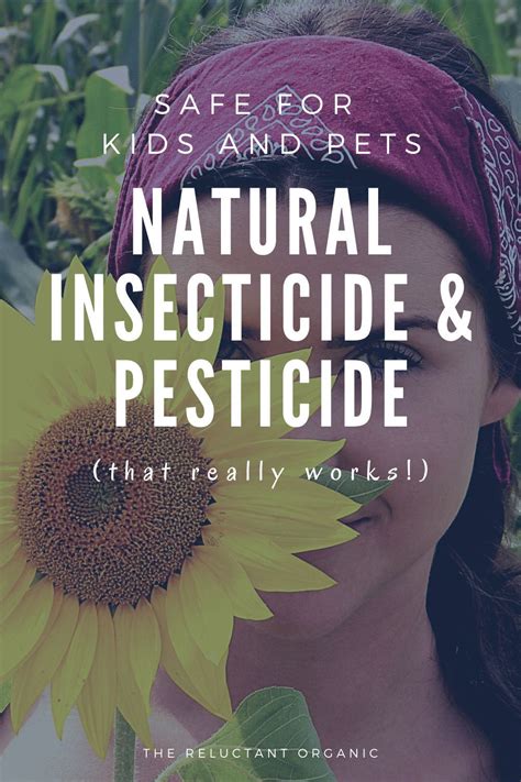 So you have pest problems in your garden but are worried about using an insecticide spray. Natural Insecticide and Pesticide that's Safe for Kids and ...