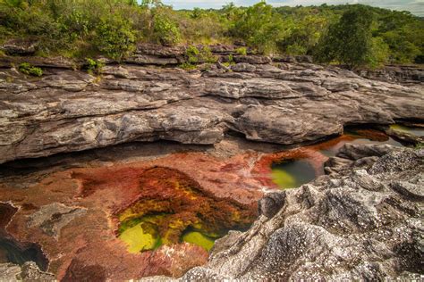 Caño Cristales 3 Day Tour With Flight Tickets Gran Colombia Tours