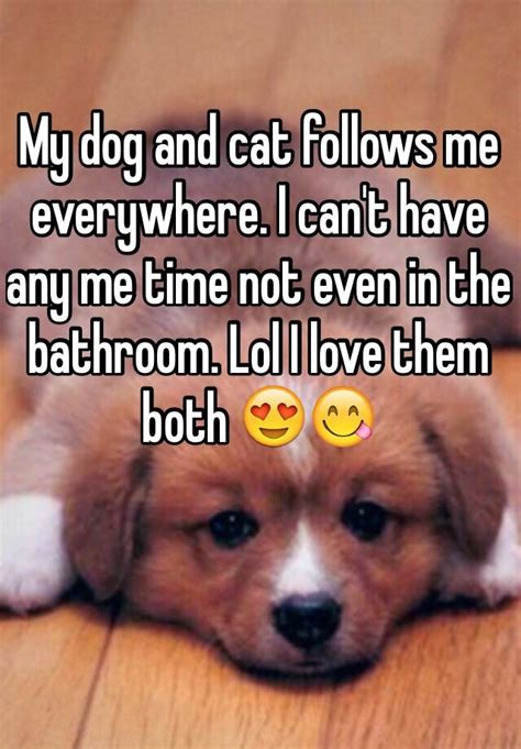 If only they (have) a. My dog and cat follows me everywhere. I can't have any me ...