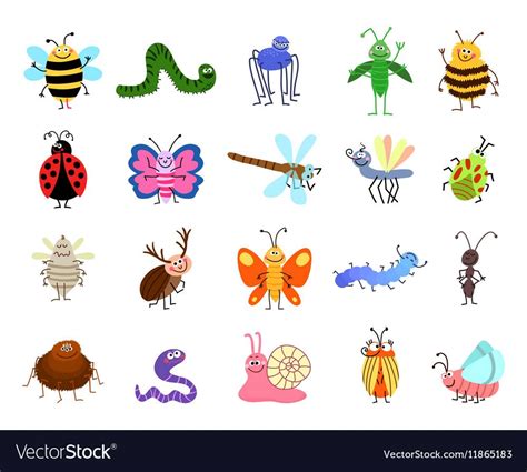 Funny Bugs Cute Insects Isolated On White Vector Image On Vectorstock