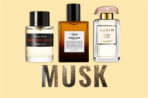 Best Musk Perfumes In 2024