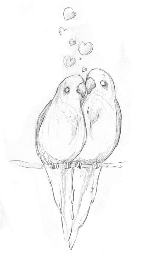 Love Birds Sketch At Explore Collection Of Love