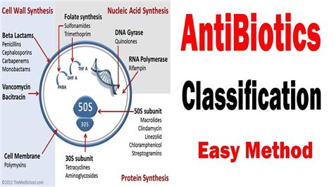 Antibiotics Classification Antibiotics And Pharmacology Youtube