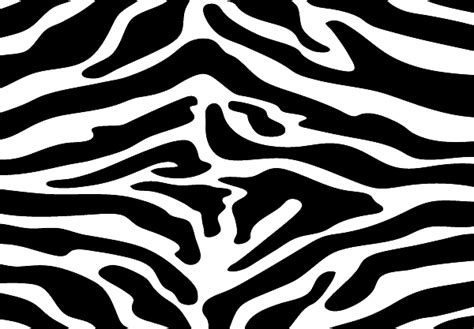 Zebra Print Png Free Download Png Mart