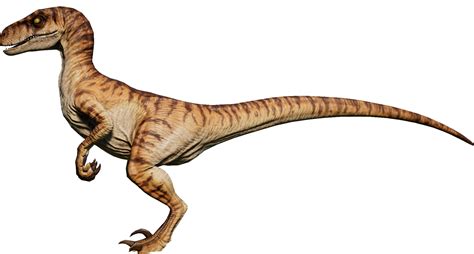 Velociraptor Fossil Jurassic Park