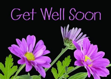 17 Best Images About Get Well Soon On Pinterest Purple Flowers Bow