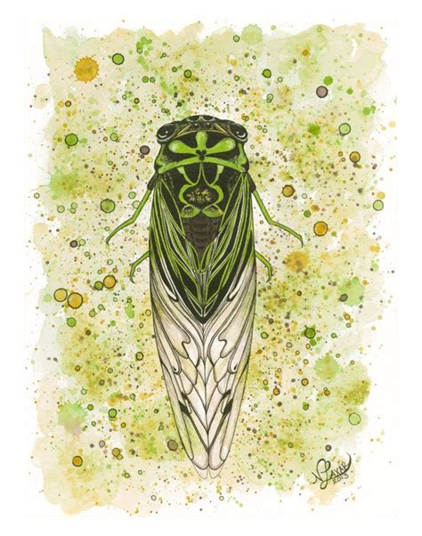 Cicada Art Print Watercolor Etsy Cicada Art Art Insect Art